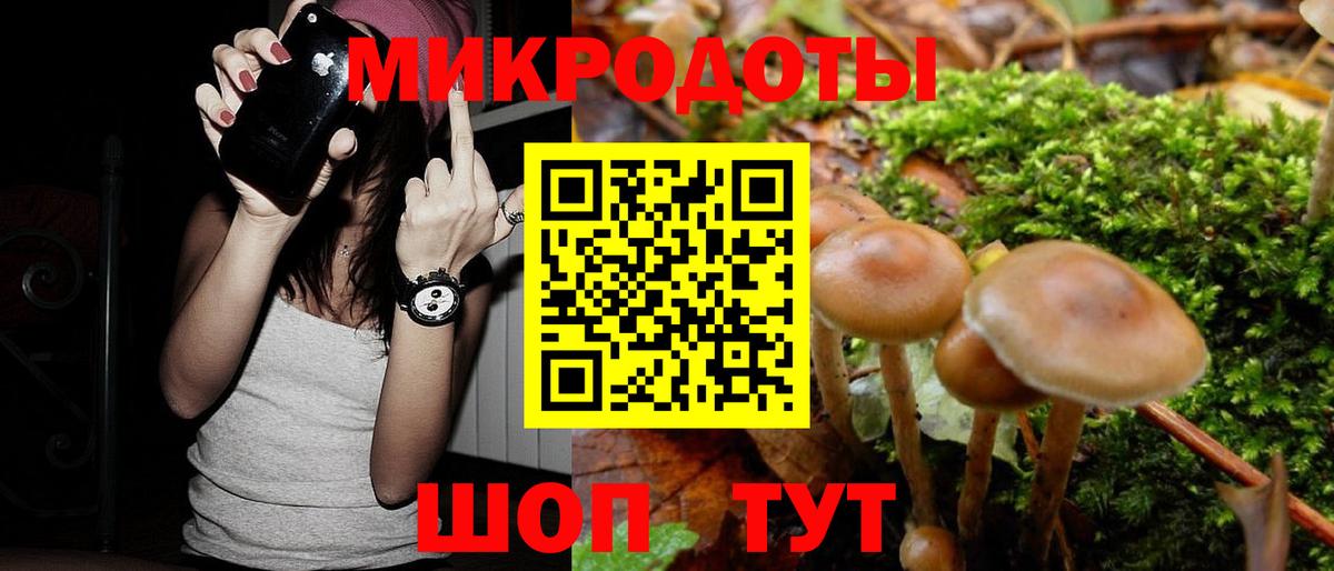 Гатчина  Галлюциногенные грибы прущие грибы  Вход с VPN 